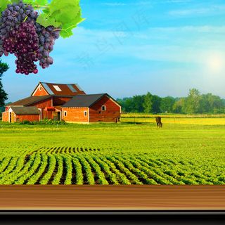 春季户外风景主图