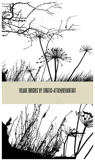 蒲公英和枯树效果PS笔刷