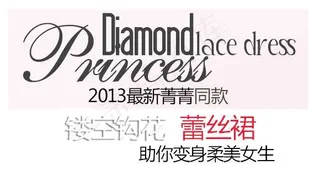 蕾丝裙促销文字设计