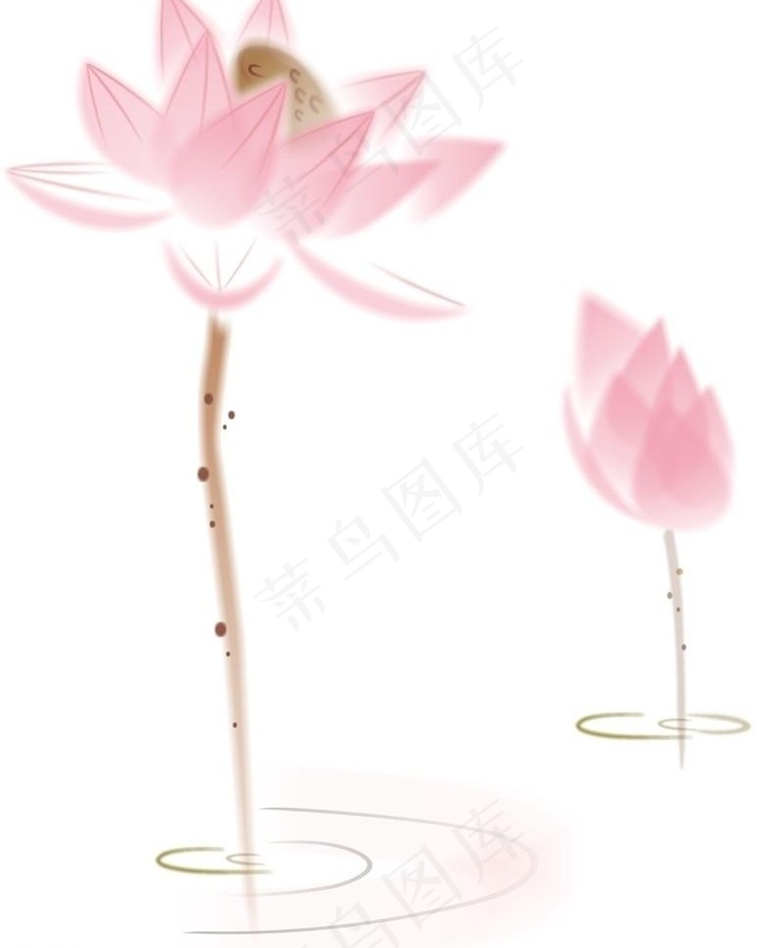 水墨 荷花 矢量 渐变 阴影图片