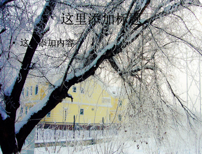 2013新春雪花飞舞高清电脑pp...