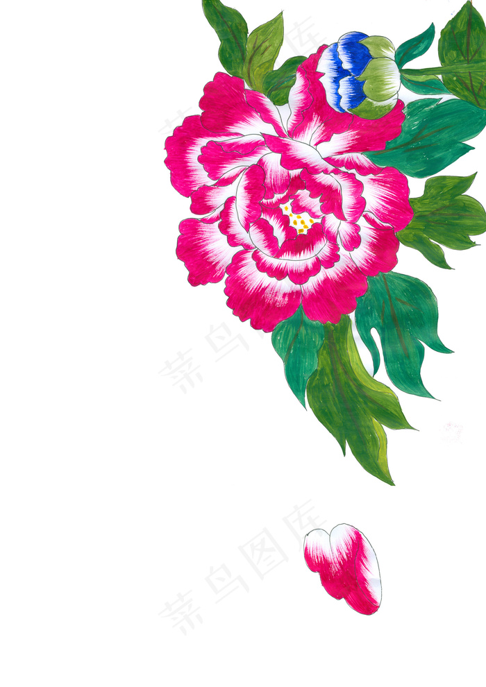 牡丹花图片