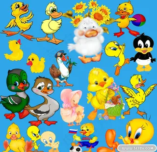 卡通小鸭子PSD源文件