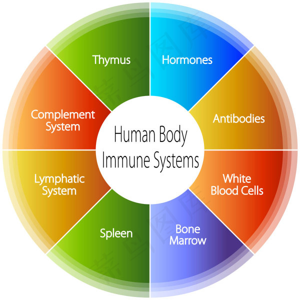 人体免疫-矢量素材eps,ai矢量模版下载