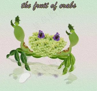 无框画 水果螃蟹图片