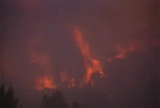 大自然森林火灾素材下载