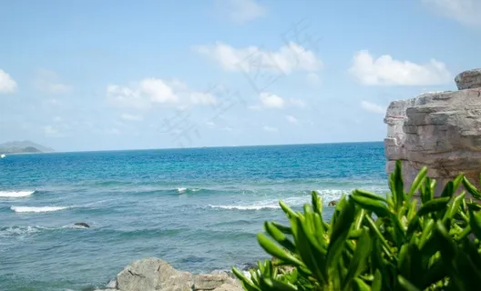 大海 热带植物 三亚图片