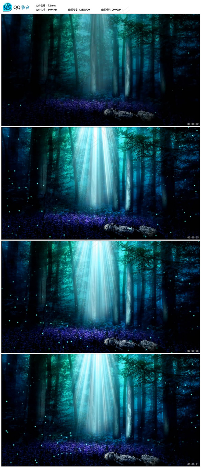 唯美梦幻森林树木光线背景动态视频
