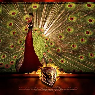 孔雀唯美火焰创意宣传设计海报