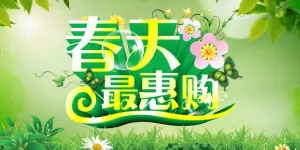 春天购物宣传海报设计PSD素材