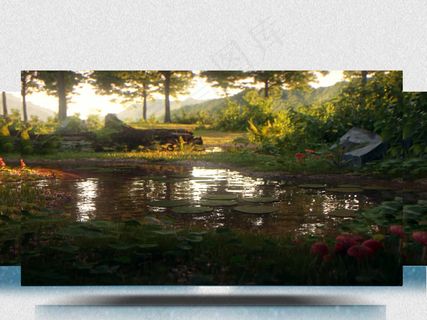 实拍大自然森林动植物特写视频素材