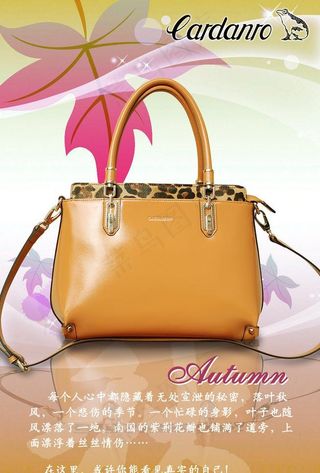 时尚女包图片