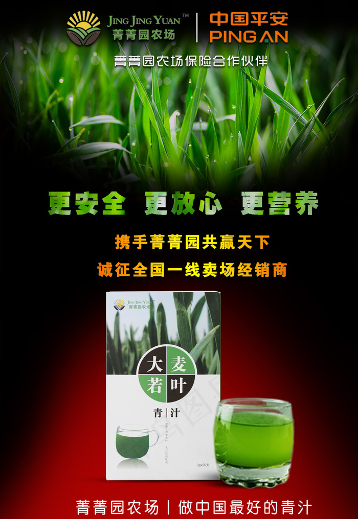 大麦若叶青汁海报(1571X2280(DPI:150))psd模版下载