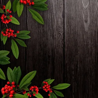 秋季硕果木板背景图