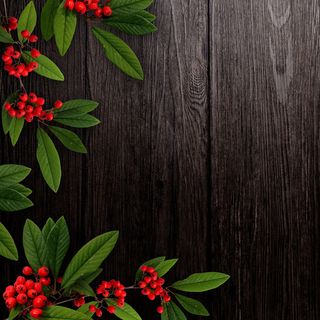 秋季硕果木板背景图