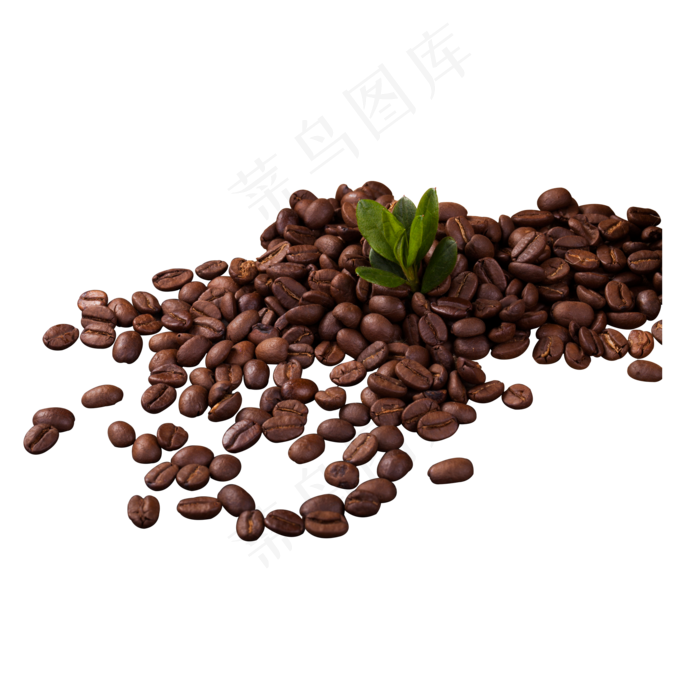 一堆咖啡原料咖啡豆