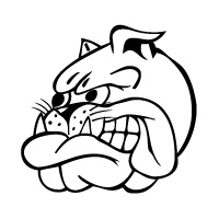 坏男孩的牛头犬的蓝色