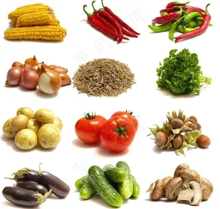 蔬菜图图片
