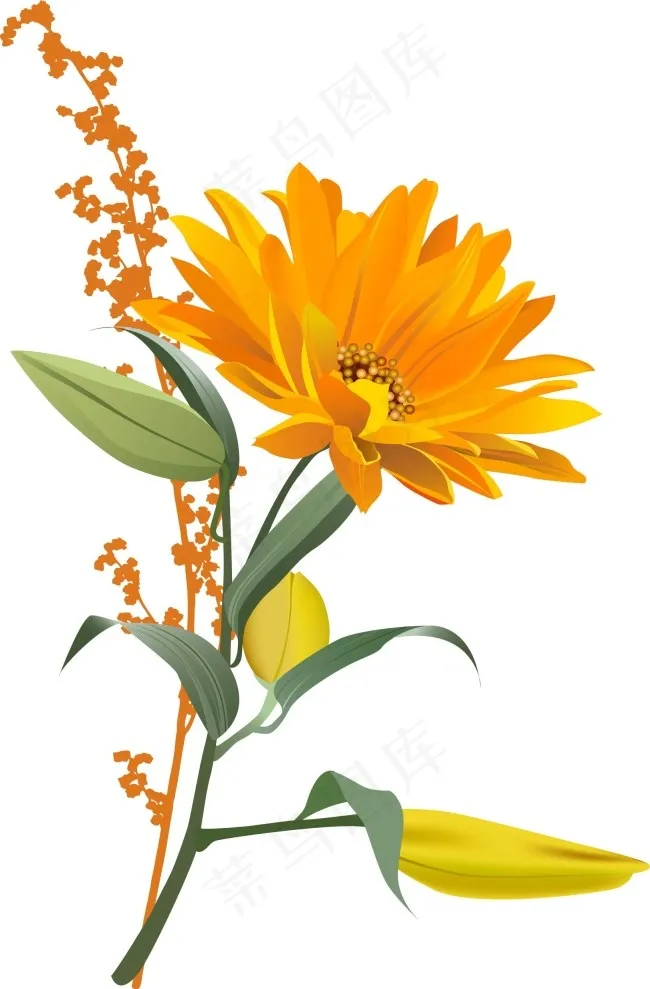 黄色小花eps,ai矢量模版下载