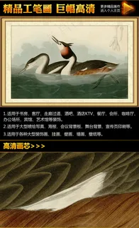 奥杜邦《黄冠水鸟》工笔画挂画无框画... 奥杜邦《黄冠水鸟》工笔画挂画无框画...