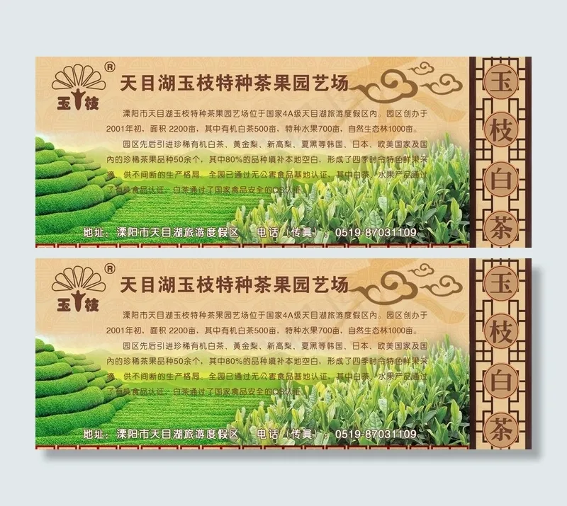 玉枝白茶图片psd模版下载