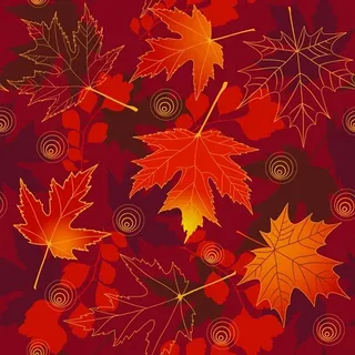 矢量缤纷绚丽枫叶背景素材