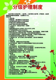 分级护理制度图片