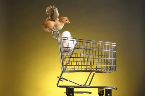 小鸡 鸡蛋 购物车图片