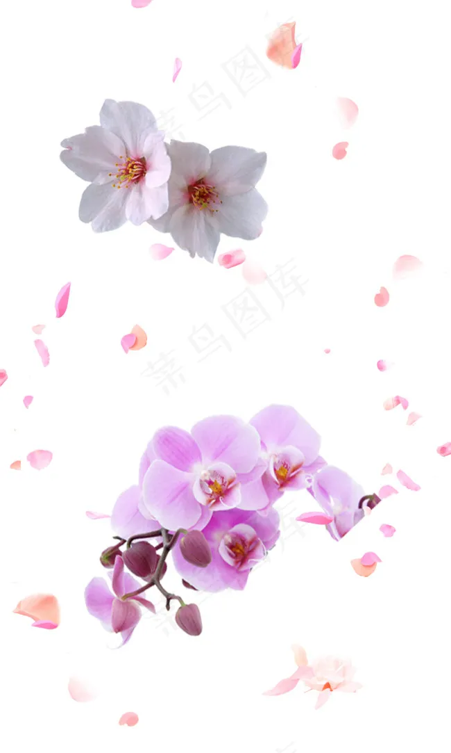 桃花psd模版下载