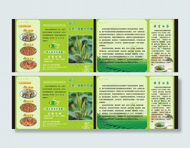 安吉白茶三折页图片cdr矢量模版下载