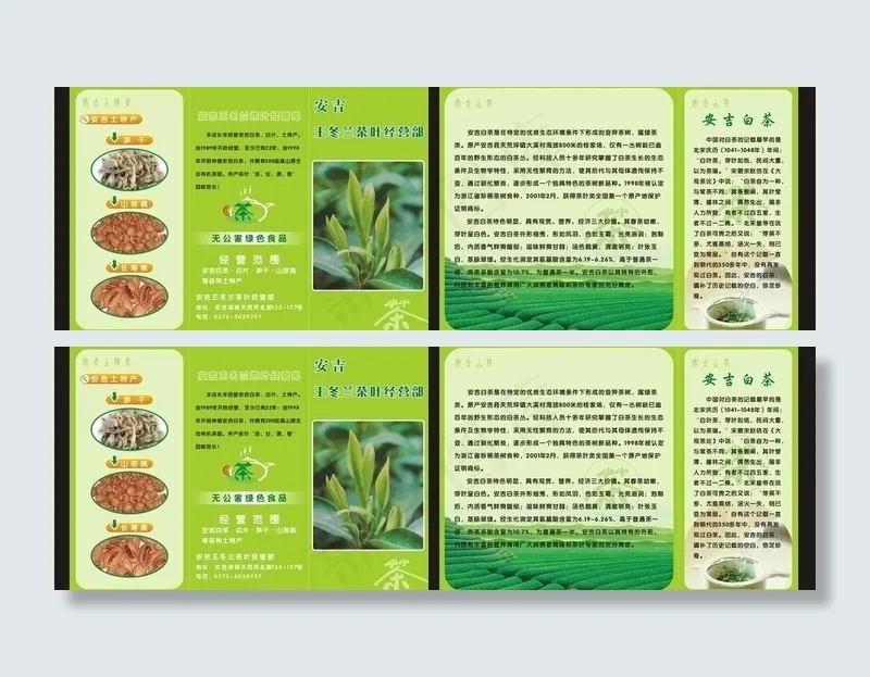 安吉白茶三折页图片cdr矢量模版下载