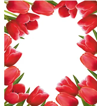 精美郁金香边框