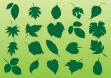 植物的叶子矢量ai矢量模版下载