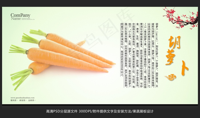 蔬菜展板设计胡萝卜海报招贴广告设计psd模版下载