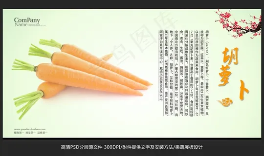 蔬菜展板设计胡萝卜海报招贴广告设计