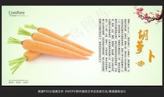 蔬菜展板设计胡萝卜海报招贴广告设计