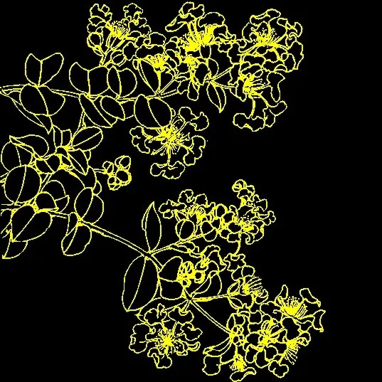 白描花卉 矢量CDR_09