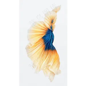 iphone6s 壁纸图片