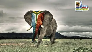 南非世界杯图片