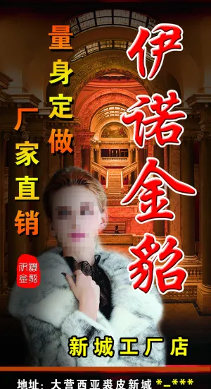 皮草海报 水貂服装 伊诺金貂
