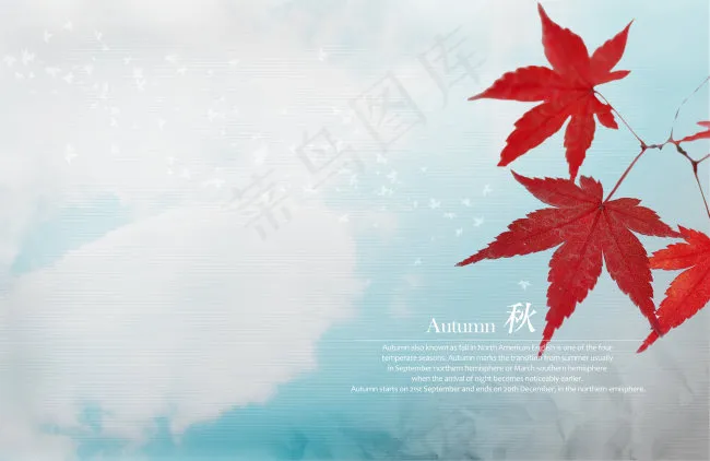 红色枫叶背景素材(4000X2600(DPI:300))psd模版下载