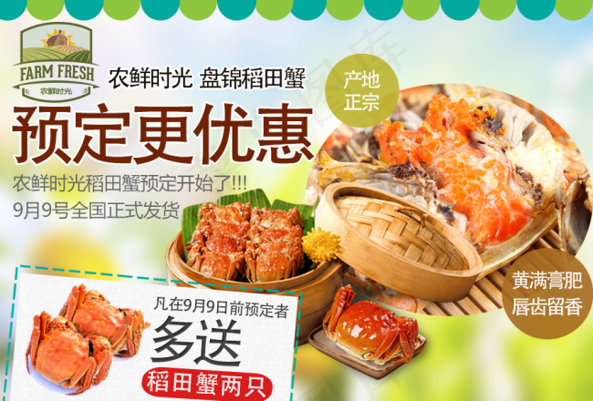 大闸蟹 盘锦河蟹 优惠券 稻田蟹