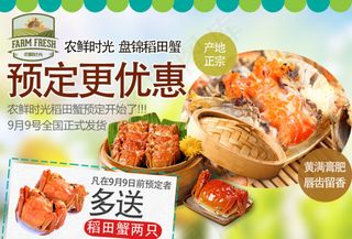 大闸蟹 盘锦河蟹 优惠券 稻田蟹