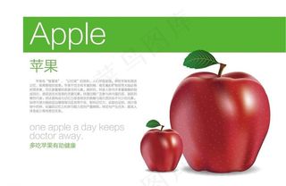 矢量苹果图片