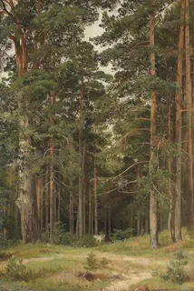 希施金森林风景油画 希施金森林风景油画