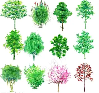 园林设计素材图片