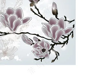 精美鲜花02—矢量素材