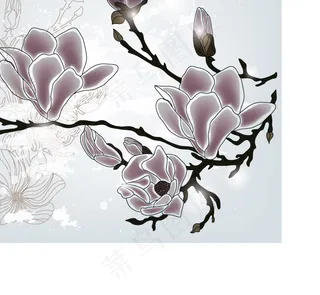 精美鲜花02—矢量素材