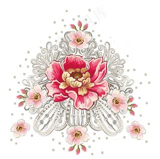 植物花卉牡丹花