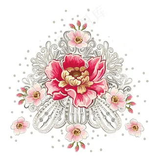 植物花卉牡丹花 植物花卉牡丹花